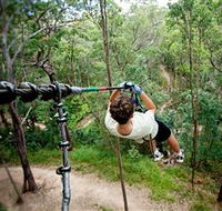 TreeTop Challenge - South Australia Travel