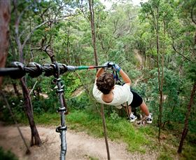 TreeTop Challenge - South Australia Travel 0
