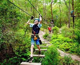TreeTop Challenge - South Australia Travel 1