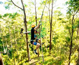 TreeTop Challenge - South Australia Travel 3