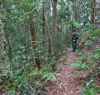 Blackbutt walking track - South Australia Travel