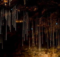 Tamborine Mountain Glow Worm Caves - South Australia Travel