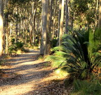 Square Head track 2 - South Australia Travel