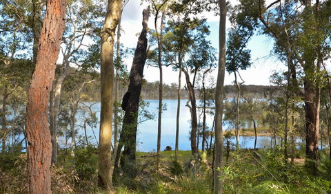 Lake Walking Track - South Australia Travel 1