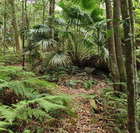 Durras Lake Discovery trail - South Australia Travel