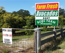The Avocado Farm - South Australia Travel 3