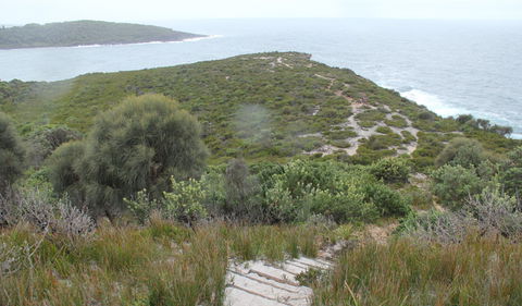 Pretty Beach To Snapper Point Walking Track - South Australia Travel 2