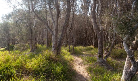 Murramarang Aboriginal Area Walking Track - South Australia Travel 1