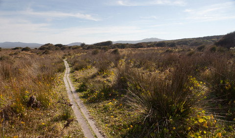 Murramarang Aboriginal Area Walking Track - South Australia Travel 2