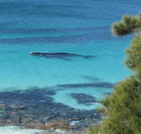 Jervis Bay Marine Park - South Australia Travel