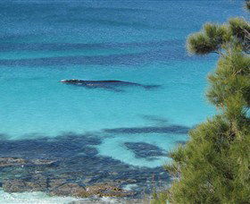 Jervis Bay Marine Park - South Australia Travel 0