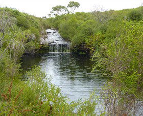 Booderee National Park: Green Patch And Telegraph Creek Walking Tracks - South Australia Travel 0