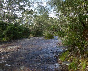 Booderee National Park: Green Patch And Telegraph Creek Walking Tracks - South Australia Travel 2