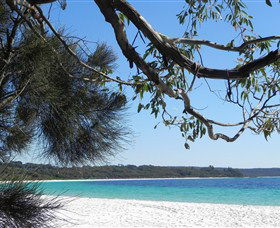Booderee National Park: Green Patch And Telegraph Creek Walking Tracks - South Australia Travel 6