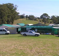 Tinonee Orchid Nursery - South Australia Travel