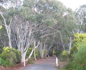 Booderee National Park: Munyunga Waraga Dhugan Walking Trail - South Australia Travel 3