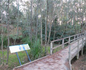 Booderee National Park: Munyunga Waraga Dhugan Walking Trail - South Australia Travel 8