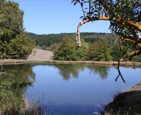 Oak Grove Walk, Balingup - South Australia Travel 0