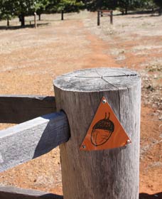 Oak Grove Walk, Balingup - South Australia Travel 3