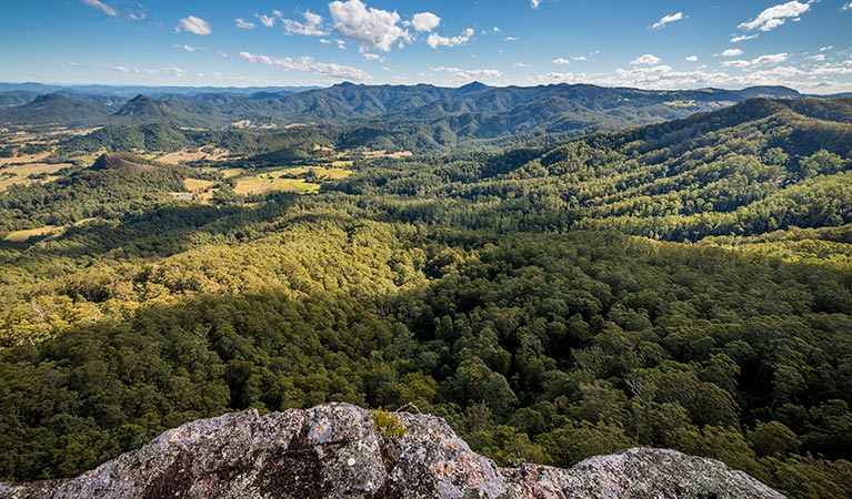 Lansdowne Forest ACT South Australia Travel