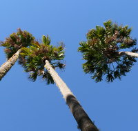 Bindarri National Park - South Australia Travel