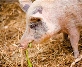  South Australia Travel