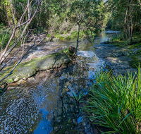Dawson River walking track - South Australia Travel