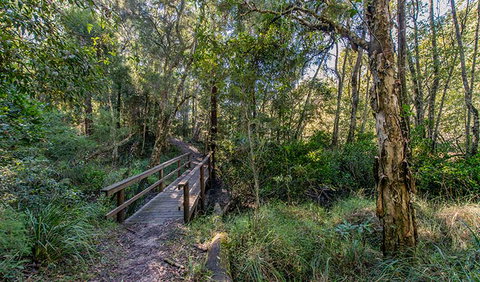 Dawson River Walking Track - South Australia Travel 1