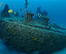Curtain Artificial Reef Dive Site - South Australia Travel 1