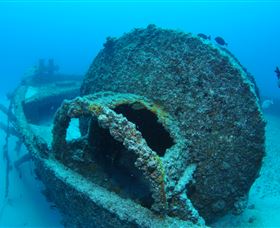Curtain Artificial Reef Dive Site - South Australia Travel 3