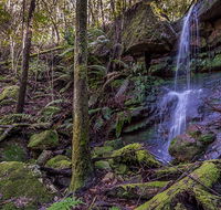 Coorabakh National Park - South Australia Travel