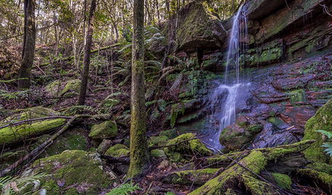 Coorabakh National Park - South Australia Travel 0