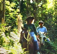Clarendon Forest Retreat Horse Riding - South Australia Travel