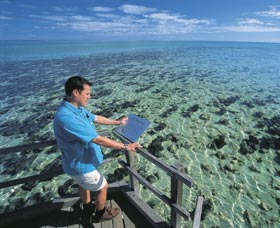 Hamelin Pool Stromatolites - South Australia Travel 2