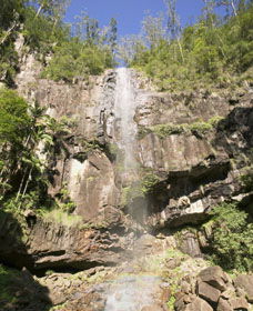 Protesters Falls - South Australia Travel 0