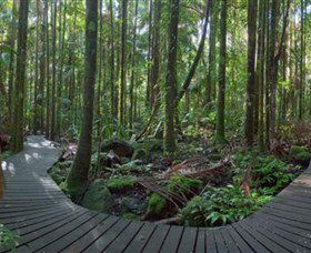 Protesters Falls - South Australia Travel 4