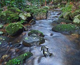 Protesters Falls - South Australia Travel 7