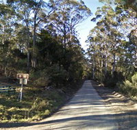 Box Cutting Rainforest Walk - South Australia Travel
