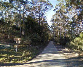 Box Cutting Rainforest Walk - South Australia Travel 0