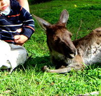 Bunbury Wildlife Park - South Australia Travel