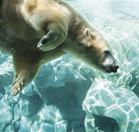 Australia's Sea World - South Australia Travel