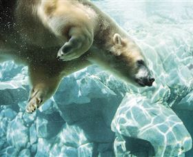 Australia's Sea World - South Australia Travel 0