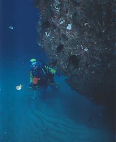 Scottish Prince Dive Site - South Australia Travel 1