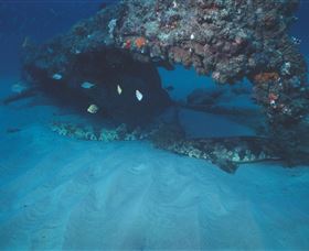 Scottish Prince Dive Site - South Australia Travel 3