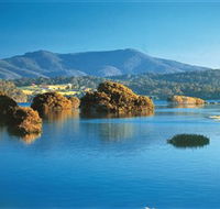 Wagonga Picnic Area - South Australia Travel
