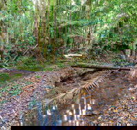 Ulidarra National Park - South Australia Travel