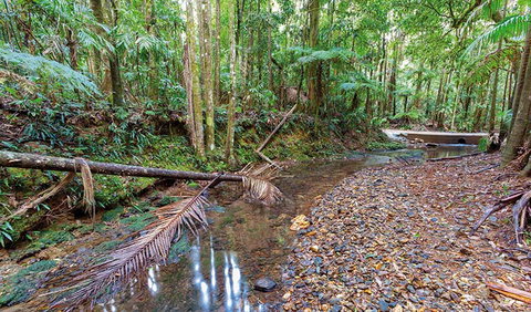 Ulidarra National Park - South Australia Travel 0