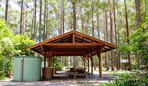 Bongil Picnic Area - South Australia Travel 0