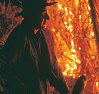 The Shed Gallery - South Australia Travel