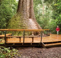 Burrawan State Forest - South Australia Travel